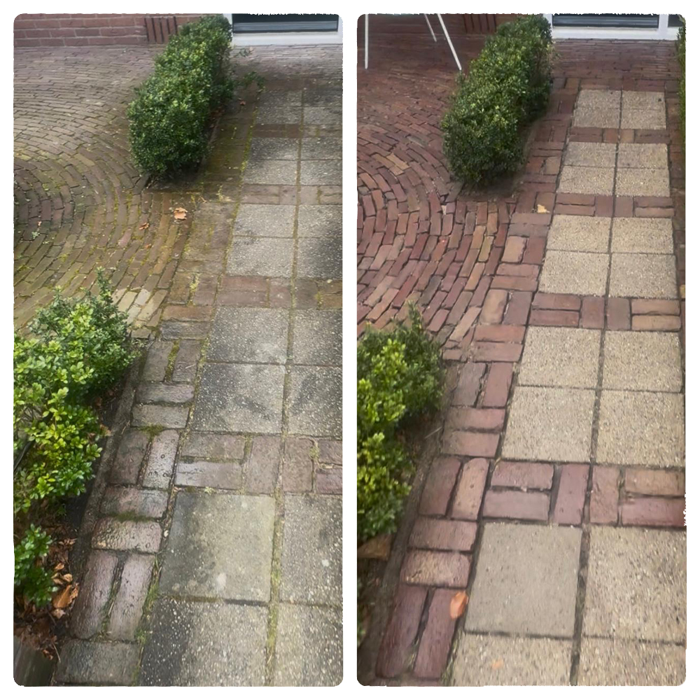 Terras Reinigen